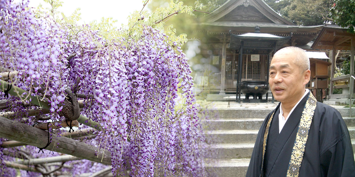 九州最古の寺 椿花山成就寺 武蔵寺「神事に欠かせない日本酒」